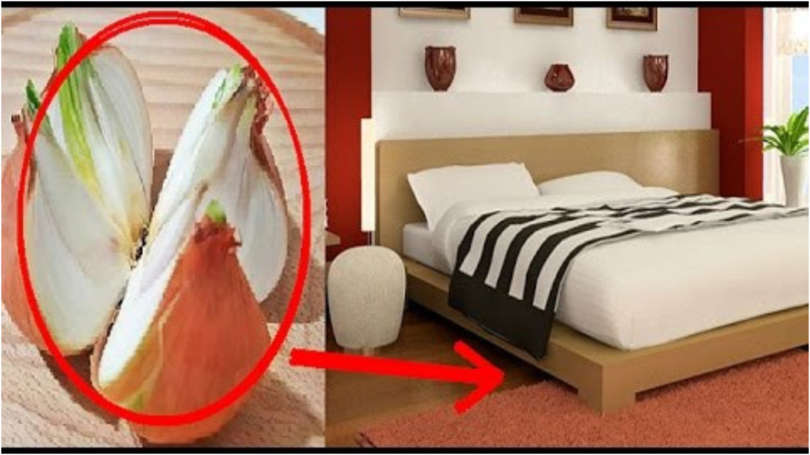 Đặt hành tây dưới gầm giường mẹo vặt ai cũng nên  biết