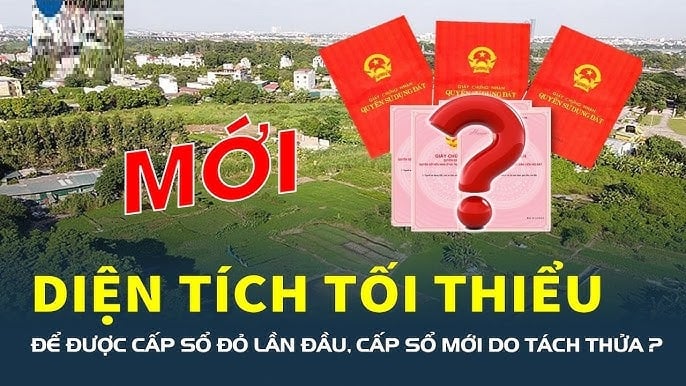 Theo Luật Đất đai 2024, các trường hợp cấp Link nhập code shbet https freecode shbet pages dev lần đầu đều không yêu cầu diện tích tối thiểu để được cấp Link nhập code shbet https freecode shbet pages dev.