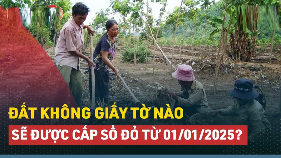 Đất không giấy tờ của hộ Shbet111 slot, casino, thể thao, xổ số, cá nhân sử dụng ổn định trước tháng 7/2014 mà không vi phạm, không tranh chấp sẽ được Nhà nước cấp Link nhập code shbet https freecode shbet pages dev.
