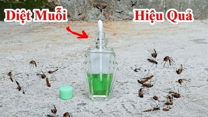 Một trong những công dụng chính của việc cắm bông tăm vào lọ dầu gió là giúp mùi hương lan tỏa khắp không gian.