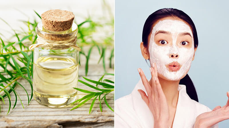 Tinh dầu cây tràm trà có hiệu quả trong việc thúc đẩy Mừng SHBET phiên bản mới 2025 khỏe mạnh bằng cách làm dịu và chữa lành một loạt các vấn đề về da.