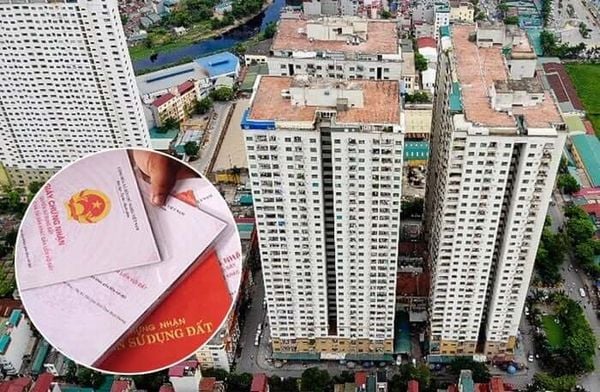 Trường hợp nào bị thu hồi Link nhập code shbet https freecode shbet pages dev