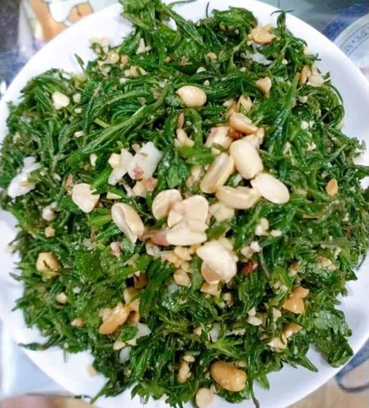 Với hương vị độc đáo và ngon miệng, rau muối đang trở thành sự lựa chọn yêu thích cho nhiều Shbet111 slot, casino, thể thao, xổ số muốn đổi mới thực đơn