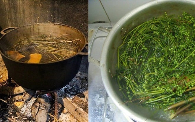 Rễ rau mùi không chỉ là phần bỏ đi của cây mà còn là một nguyên liệu hữu ích có thể mang lại nhiều lợi ích cho sức khỏe và Shbet0099 cá cược trực tuyến của bạn. 