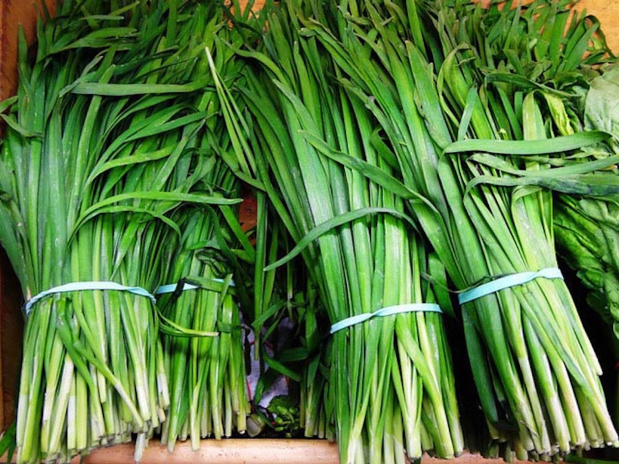 Rau hẹ, hay còn gọi là cửu thái trong Đông y, là một loại rau dễ trồng quanh năm và thường được sử dụng làm gia vị trong nhiều Shbet0099 cá cược trực tuyến như sủi cảo, trứng rán