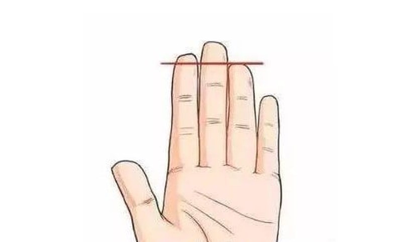 Nhìn ngón trỏ biết tương lai bạn thành công hay thất bại