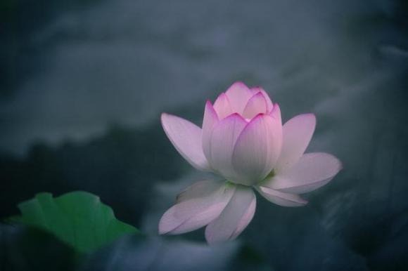 Khi một người không thích bạn, bất kể đó là ai, bạn không thể dùng sự nhiệt tình của mình để thay đổi thái độ của họ.