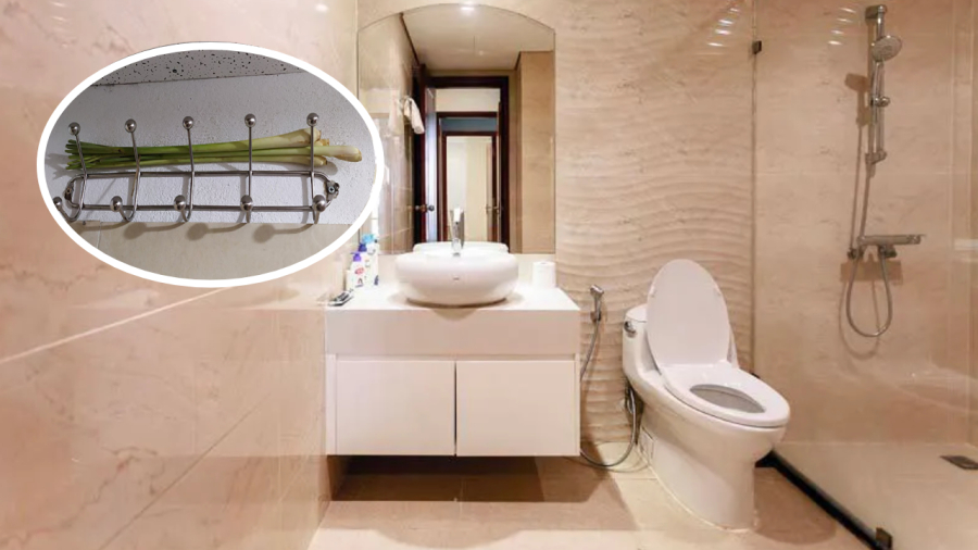 Sả tươi giúp khử mùi hôi nhà vệ sinh rất tốt.