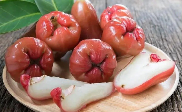 Quả roi