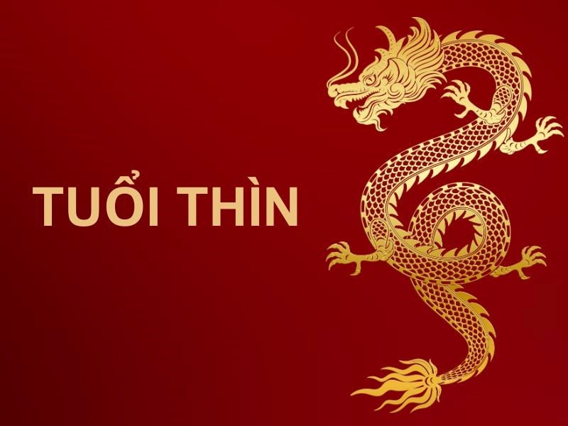Sau 1/12, vận Shbet800 tải ứng dụng của tuổi Thìn có sự tăng tiến mạnh mẽ