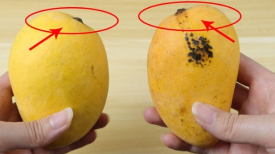 Bạn nên quan sát các đốm đen trên vỏ xoài khi chọn mua.