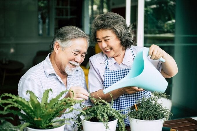 Khi tuổi già đến gần, bạn có thể dễ dàng bị những người thân lợi dụng và lừa dối, gây khó khăn cho Shbet16 chơi game trực tuyến của mình. 