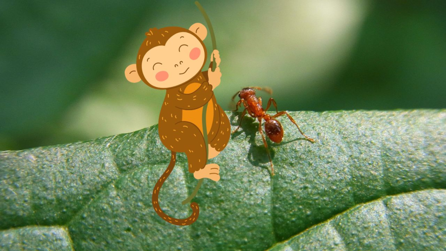 Tuổi Thân vui vẻ