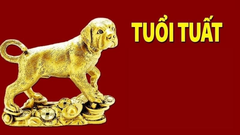Người tuổi Tuất bẩm sinh đã có tài năng và trí tuệ thông minh