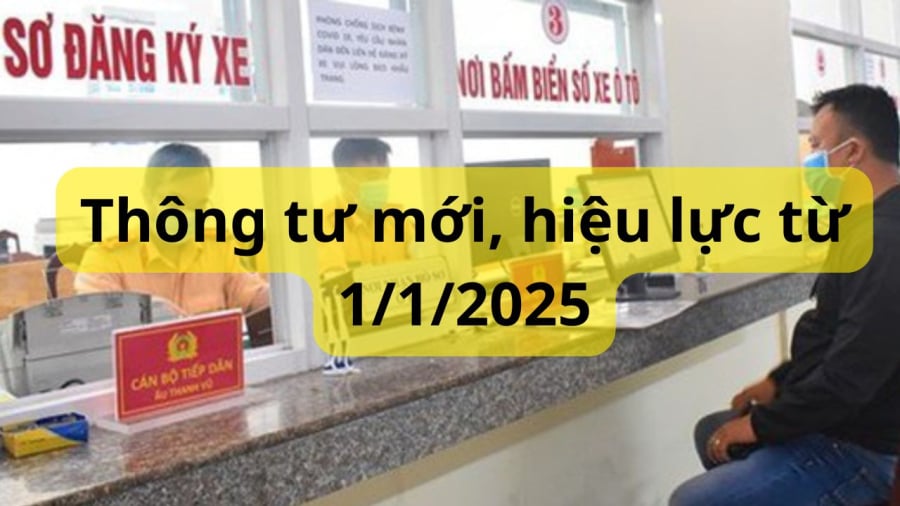 Từ 1/1/2025 Thông tư 79 có hiệu lực