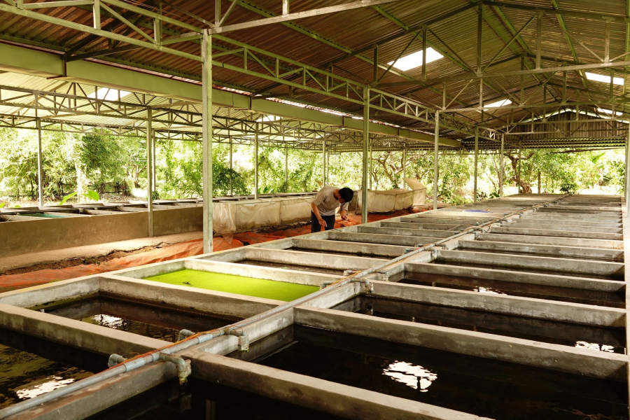 Theo anh Hoàng, sở thích nuôi cá kiểng là một thú vui đắt tiền, với chi phí để mua cá biển kiểng dao động từ vài chục đến vài trăm ngàn đồng mỗi loài