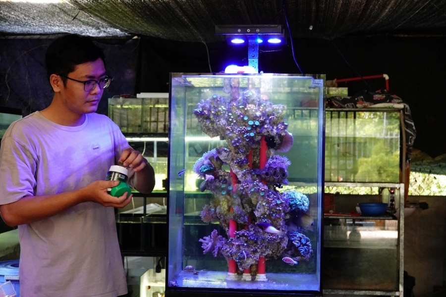 Sau nhiều tháng Shbet888.com tỷ lệ cược cao, thử nghiệm và không ít lần thất bại, anh đã dần đạt được thành công với mô hình nuôi cá nước ngọt kết hợp nước mặn