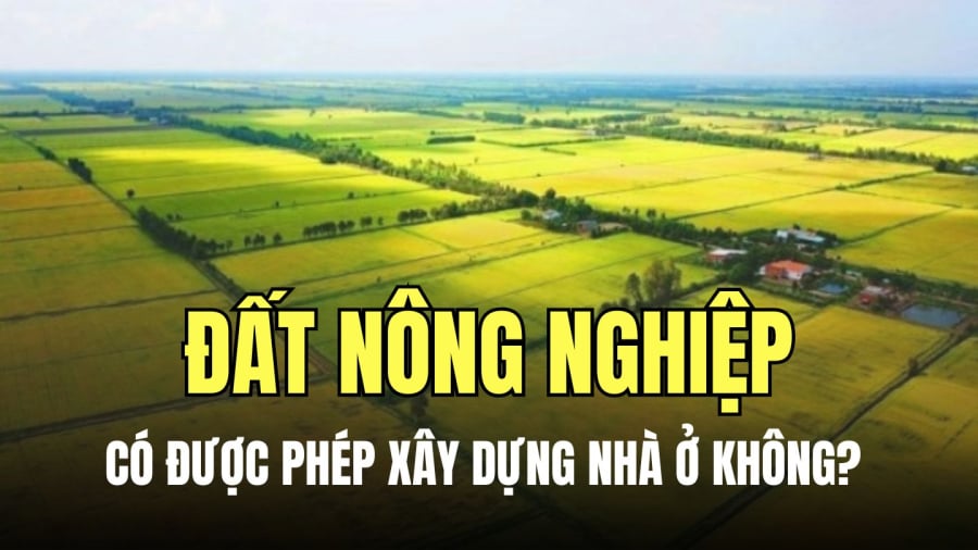 Ai được xây nhà trên đất nông nghiệp?