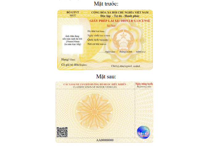 Mẫu giấy phép SHBET 1000 World Cup áp dụng từ ngày 1/1/2025 đến 31/12/2025. Ảnh: Bộ GTVT
