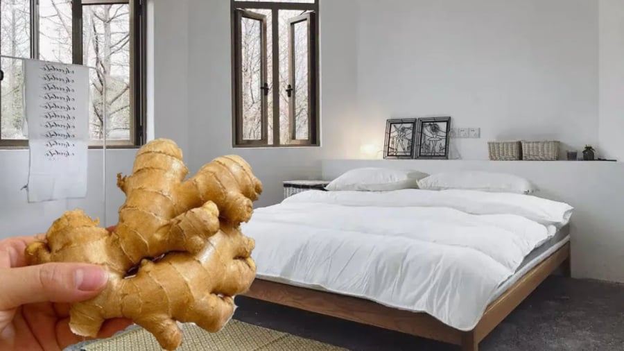 Đặt gừng ở đầu giường mang lại nhiều lợi ích.