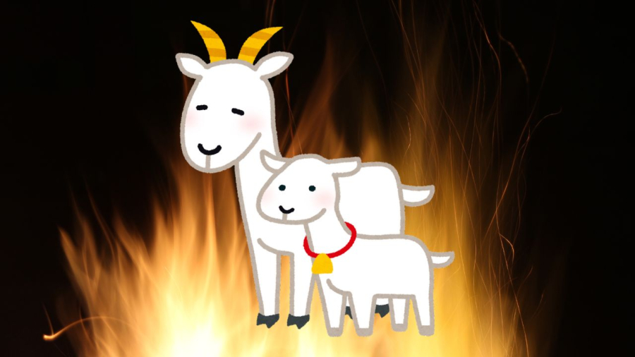 Tuổi Mùi cần chú ý
