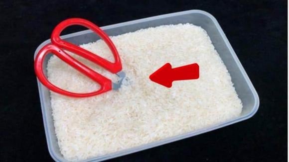 Cắm kéo vào thùng gạo là một mẹo đơn giản nhưng vô cùng hữu ích mà bất kỳ Shbet111 slot, casino, thể thao, xổ số nào cũng nên thử.