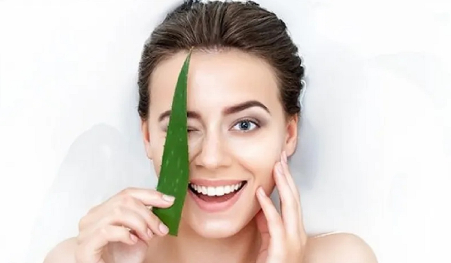 Nha đam là một thành phần tự nhiên nổi bật với các công dụng tuyệt vời cho cả da và tóc. 
