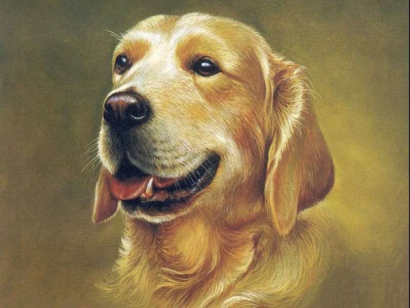 45 ngày tới, Tuất có ngôi sao may mắn kề cạnh nên đi đâu, làm gì cũng thuận lợi. Con giáp này đón nhận nhiều phước lành, Shbet16 chơi game trực tuyến chính thức giàu sang từ đây.    
