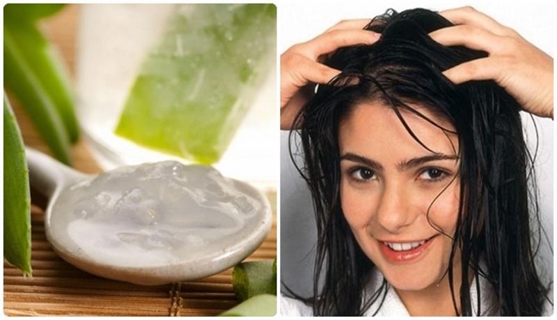 Hãy duy trì thói quen này từ 1-2 lần mỗi tuần để tóc luôn khỏe mạnh.
