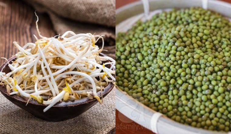 Tự làm giá đỗ tại nhà 