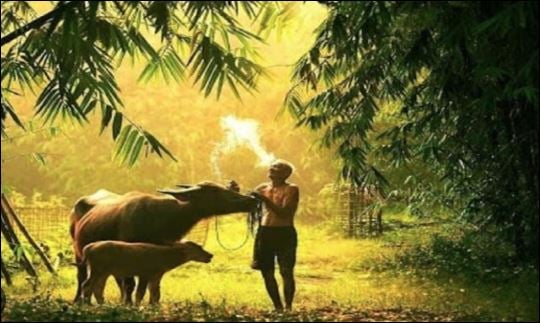 Thế nên dù việc lớn hay nhỏ cũng nên chuẩn bị kỹ lưỡng, có sự tập trung cao độ. Muốn bản thân trở nên vững vàng thì hãy bước đi thật chắc chắn. (ảnh minh họa)