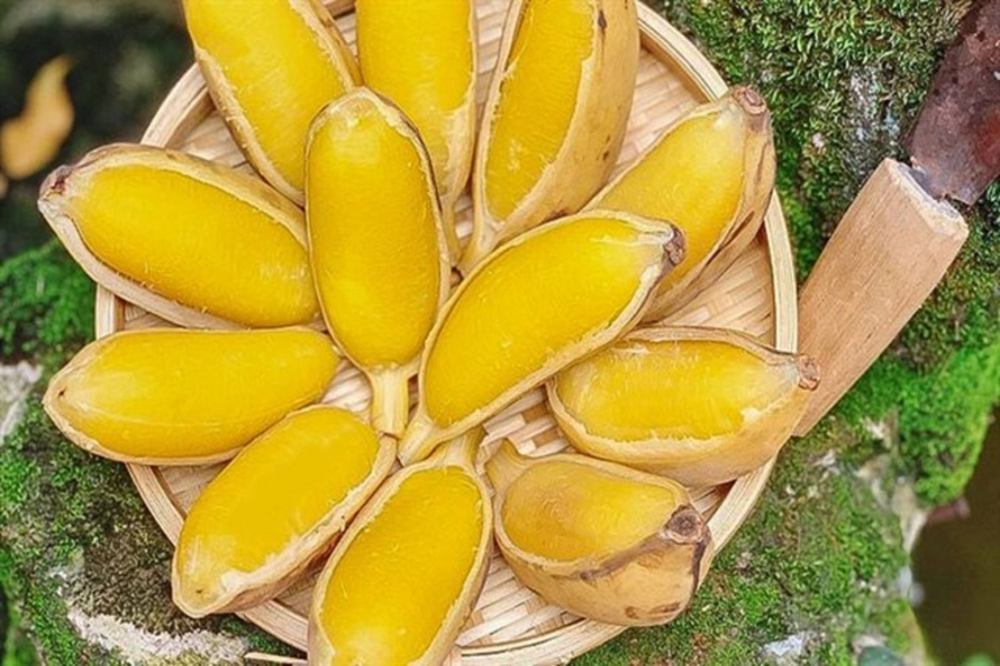 Chuối sáp luộc không chỉ là một Shbet0099 cá cược trực tuyến ngon mà còn là nguồn cung cấp tinh bột kháng rất tốt