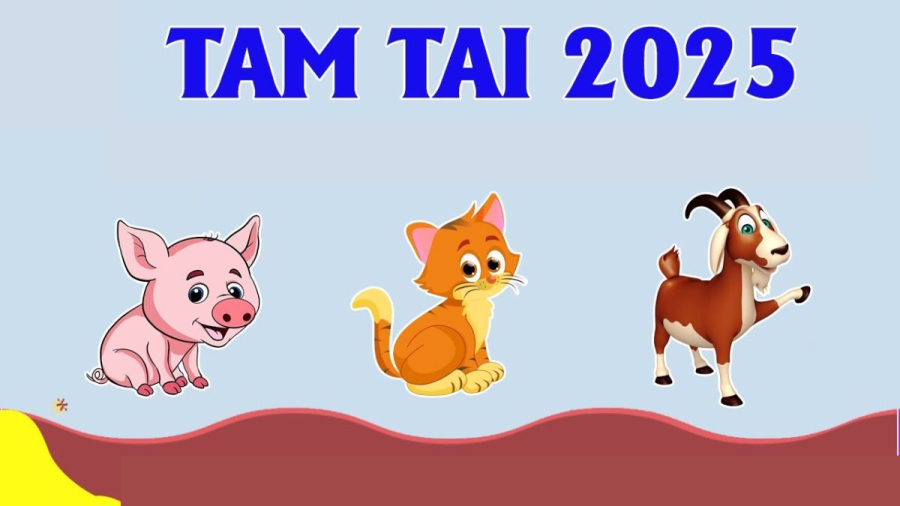 Tuổi Mão, tuổi Mùi và tuổi Hợi