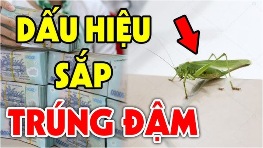 Dấu hiệu Shbet111 slot, casino, thể thao, xổ số sắp may mắn