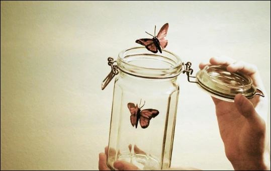 Bố thí chính là việc mang lại phúc báo lớn nhất.  (ảnh minh họa)
