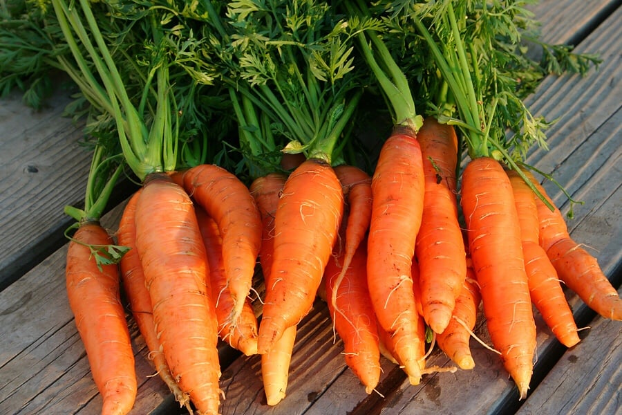 Cà rốt là nguồn cung cấp phong phú lutein và beta-carotene, hai loại chất chống oxy hóa quan trọng có khả năng bảo vệ Sh88bet đăng ký miễn phí khỏi các tác động tiêu cực của gốc tự do