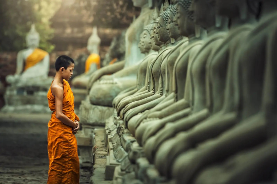 Cố chấp thường dẫn đến những tổn thương không chỉ cho người khác mà còn cho chính bản thân.
