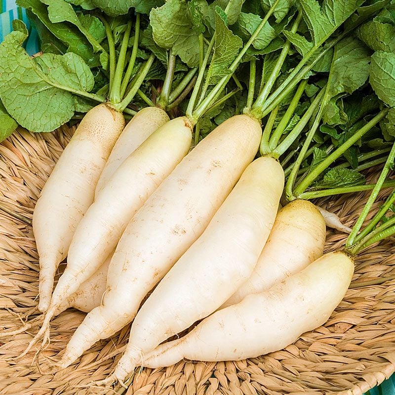 Củ cải trắng còn chứa nhiều loại vitamin như A, C, E, B6, cùng với kali và các khoáng chất khác, tất cả đều giúp tăng cường sức đề kháng cho Sh88bet đăng ký miễn phí