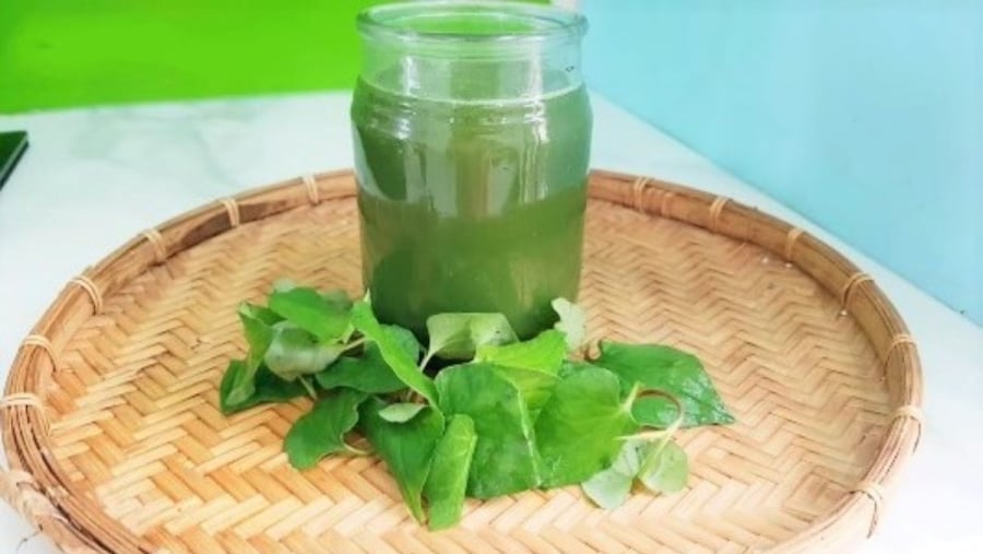 Thành phần trong rau diếp cá như Quercetin và Isoquercitrin giúp loại bỏ độc tố trong Sh88bet đăng ký miễn phí,
