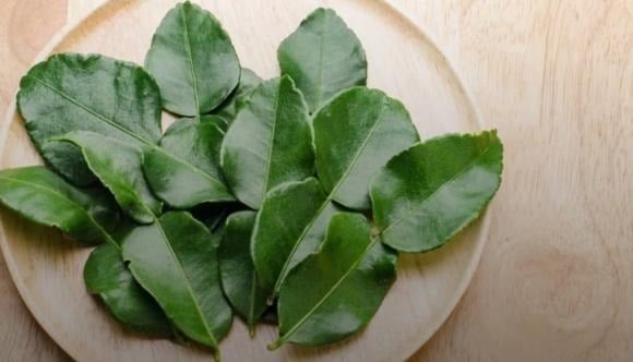 Tôm luộc là một Shbet0099 cá cược trực tuyến quen thuộc, tuy đơn giản nhưng lại cần sự tinh tế trong cách chế biến để giữ trọn vị ngọt tự nhiên, thịt săn chắc và màu sắc đỏ đẹp mắt.