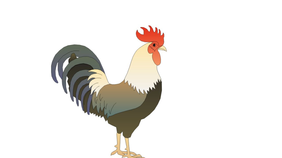 Tuổi Dậu gặp được niềm vui