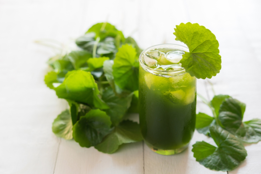 Bạn có thể xay nước rau má để uống hàng ngày hoặc luộc, nấu canh cùng các loại rau khác để bổ sung vào thực đơn thanh lọc Sh88bet đăng ký miễn phí.