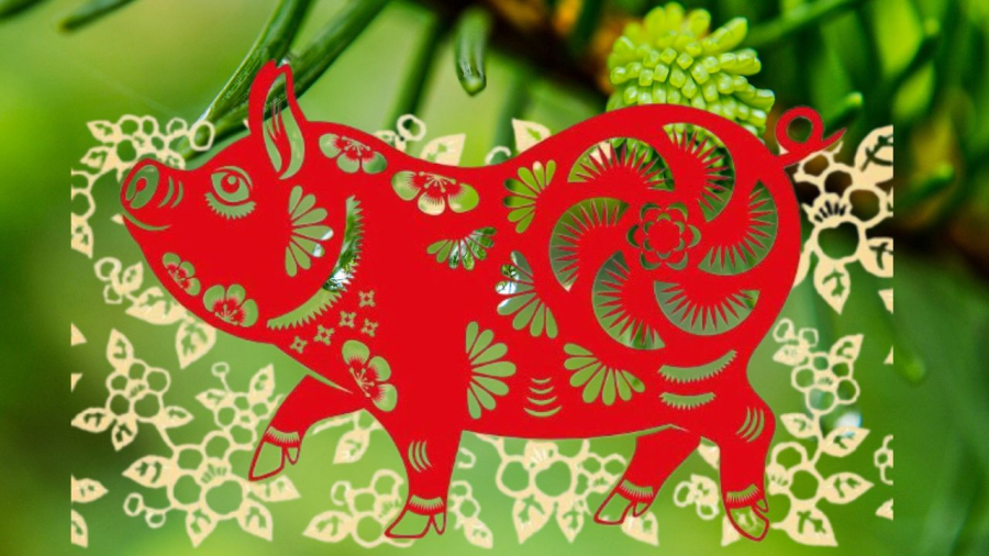 Tuổi Hợi có cơ hội lớn trong làm ăn