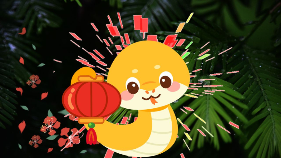Tuổi Tỵ có nhiều cơ hội
