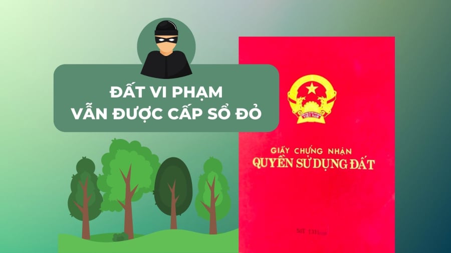 4 trường hợp đất vi phạm vẫn được xem xét cấp Link nhập code shbet https freecode shbet pages dev