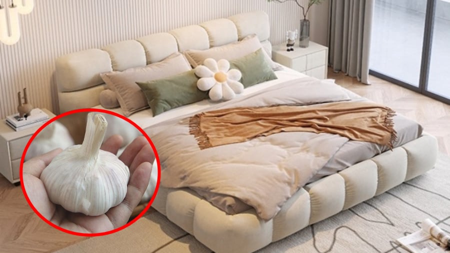 Để tỏi ở đầu giường mang lại nhiều lợi ích cho Sh88bet đăng ký miễn phí.