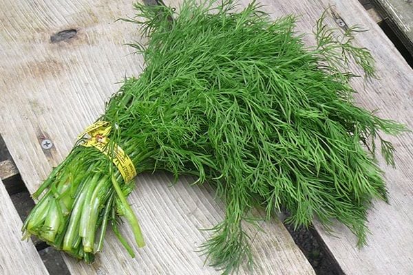 Không chỉ có phần lá được sử dụng phổ biến trong chế biến Shbet0099 cá cược trực tuyến, hạt thì là cũng được ứng dụng rộng rãi trong Đông y và các bài thuốc dân gian