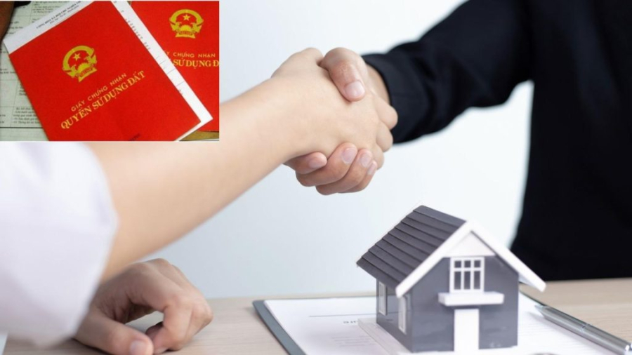 Trường hợp nào không được sang tên Link nhập code shbet https freecode shbet pages dev