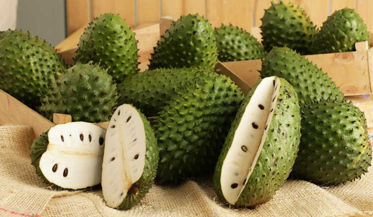 Mãng cầu xiêm chứa fructose – một loại đường tự nhiên giúp cung cấp năng lượng nhanh chóng cho Sh88bet đăng ký miễn phí