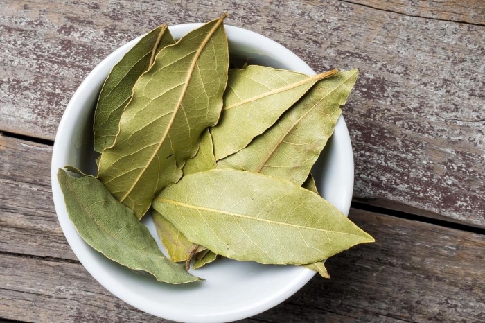 Lá nguyệt quế